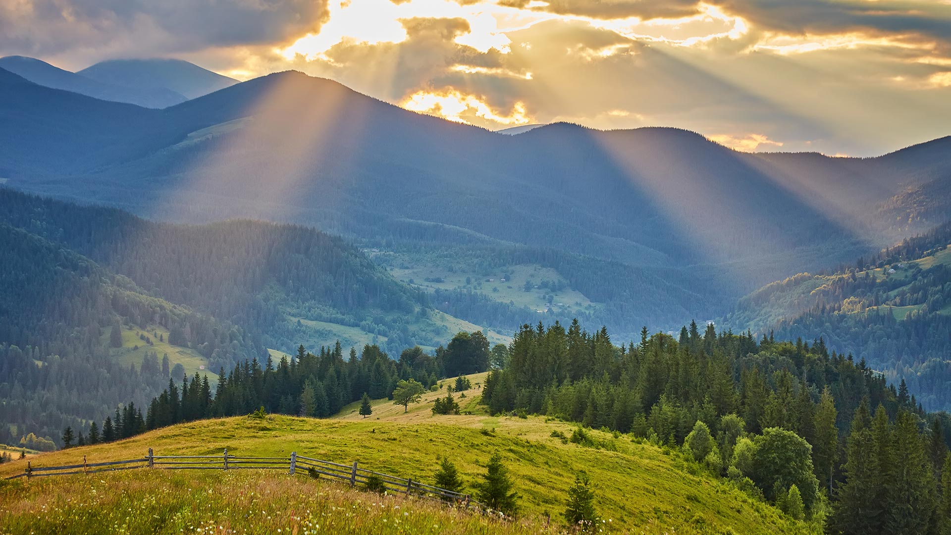 Zlatibor